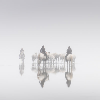 "Reflections of the Camargue" fine art photography by Carys Jones | Horse polo art gallery