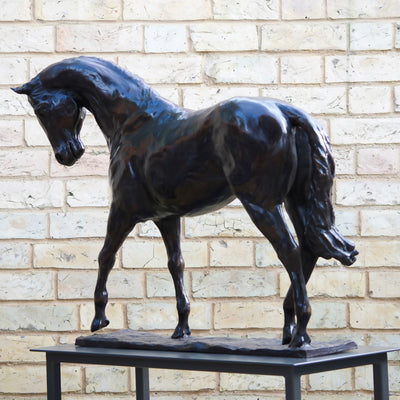 "Colt" 1/3 life-size bronze sculpture by Edward Waites | Horse polo art gallery