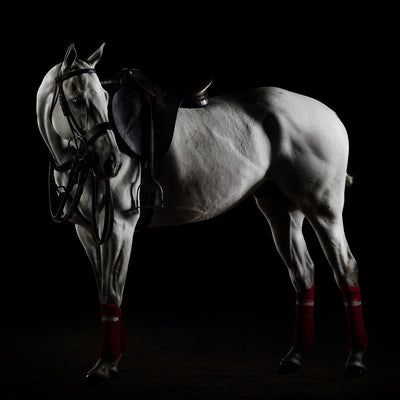 "Codiciado N2" fine art equine photography by Ramon Casares | Horse polo art gallery | Print of horse for sale