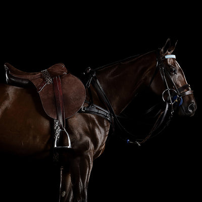 "Cuartetera B09" fine art photography by Ramon Casares | Horse polo art gallery | Equestrian fine art for sale