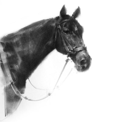 "VI" charcoal on paper equine artwork by Tianyin Wang | Horse polo art gallery