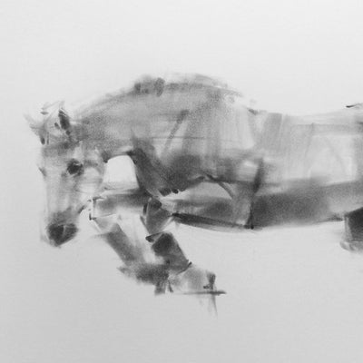 "Glide" charcoal on paper painting by Tianyin Wang | Horse polo art gallery | Flying white horse charcoal drawing for sale