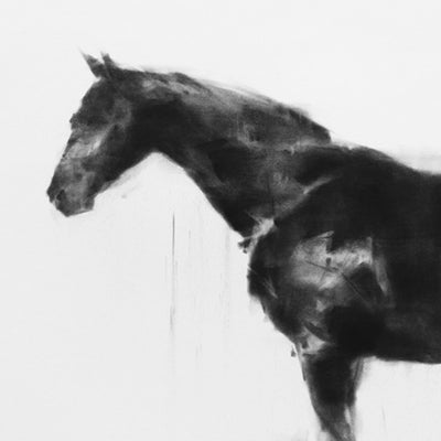 "Luster" charcoal on paper equine artwork by Tianyin Wang | Horse polo art gallery | Equestrian drawings for sale