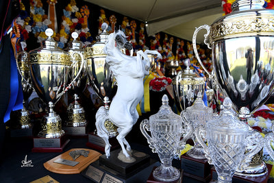 Arabian Horse Cups in the USA