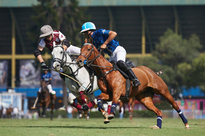 Argentina: The Epicenter of Polo Excellence and Tradition