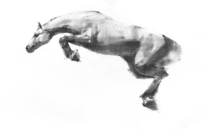 Flying horses by Tianyin Wang