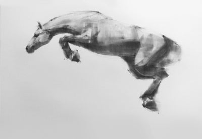 New equestrian drawings by Tianyin Wang