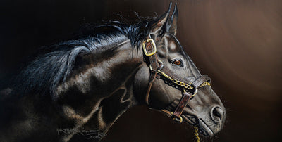 Hyper-realistic horse portraits by Martin Rodriguez