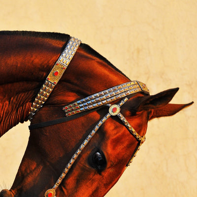 "Enysh" fine art photography by Artur Baboevs | Horse polo art gallery