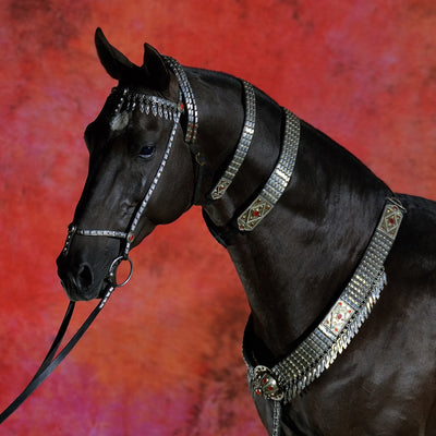 "Karabek" fine art photography by Artur Baboev | Horse polo art gallery