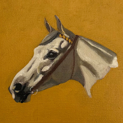 "Study of a Grey" oil on canvas equine painting by Beatrice James | Horse polo art gallery