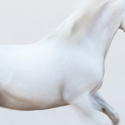 "White Marble" fine art photography by Carys Jones | Horse polo art gallery