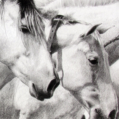 "Cobra I" conte pencil on paper horse drawing by Jesus Arnedo Bedoya | Horse polo art gallery | Equestrian art for sale