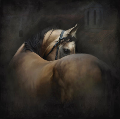 "Out of darkness" acrylic on canvas horse painting by Rafael Lago | Horse polo art gallery | Modern equestrian artwork for sale
