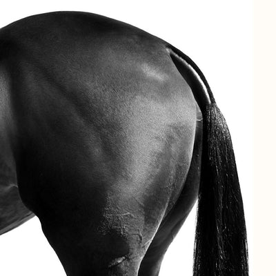 "Polo Pony Tail" fine art photography by Irina Kazaridi | Horse polo art gallery | Polo prints for sale