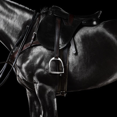 "Ready" fine art equine photography by Ramon Casares | Horse polo art gallery | Equestrian print for sale