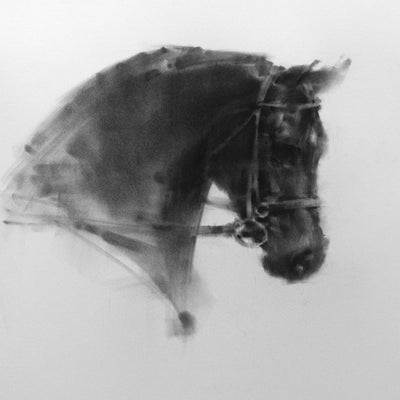 "Dark horse" charcoal on paper equine artwork by Tianyin Wang | Horse polo art gallery