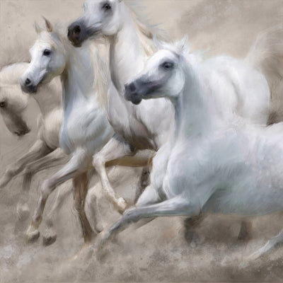 "Bountiful lavishness" acrylic on canvas white Arabian horse painting by Rafael Lago | Horse polo art gallery 