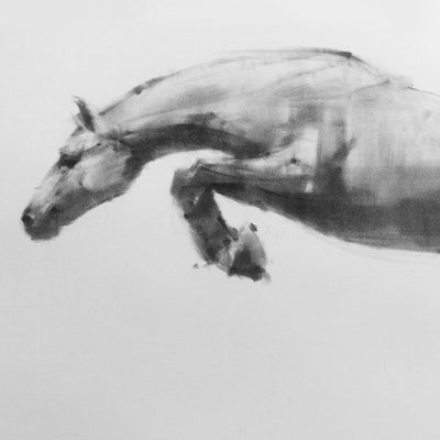 "In the air" charcoal on paper equine artwork by Tianyin Wang | Horse polo art gallery | Horse art for sale