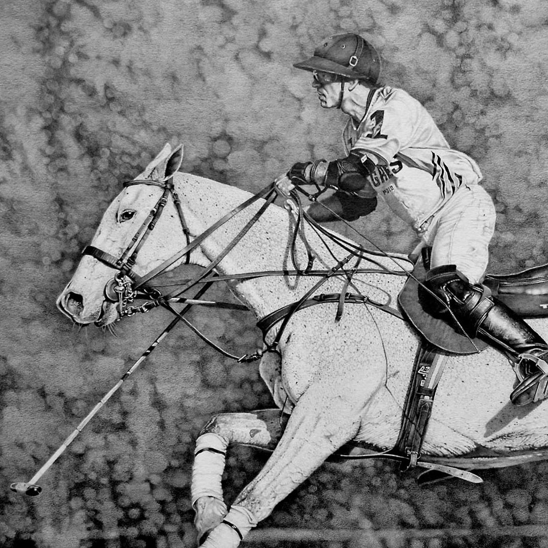 White horse graphite on paper polo artwork by Martin Rodriguez Horse polo art gallery KaterinaMorgan.art