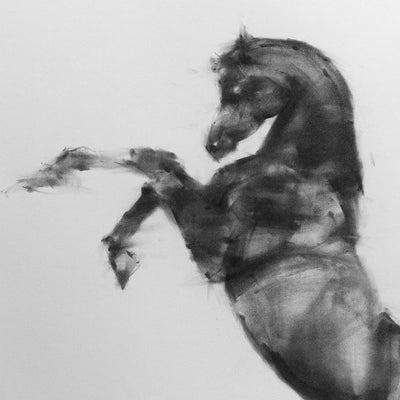 "My moment" charcoal on paper equine artwork by Tianyin Wang | Horse polo art gallery | Horse art for sale